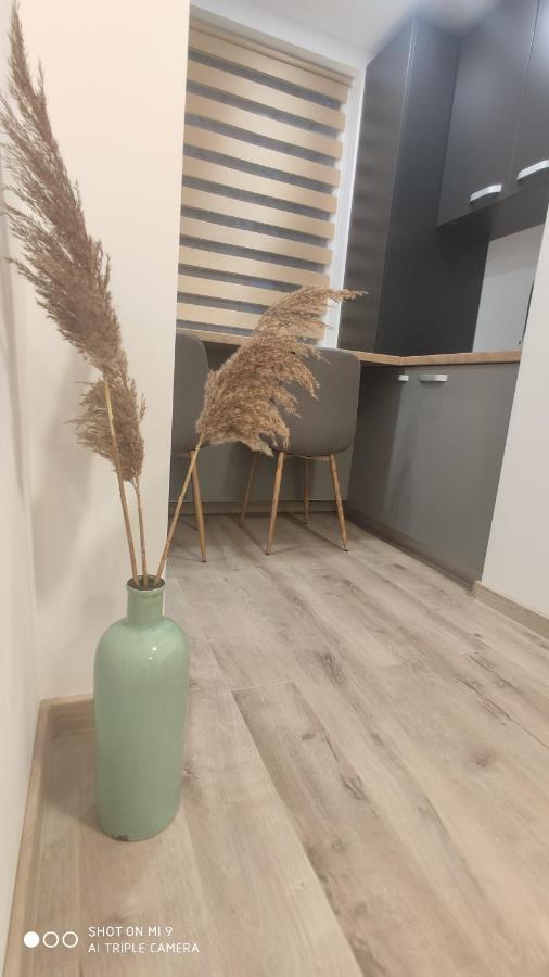 דירות באיה מארה Popasu Din Oras מראה חיצוני תמונה